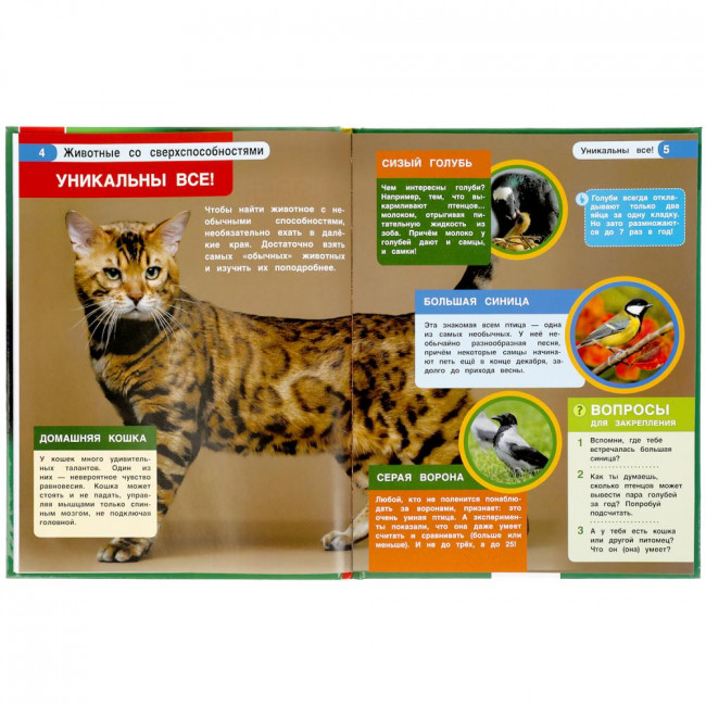 Энциклопедия с развивающими заданиями «Животные со сверхспособностями». Формат: 197 х 255мм 48стр, Умка Энциклопедия с развивающими заданиями «Животные со сверхспособностями». Формат: 197 х 255мм 48стр, Умка