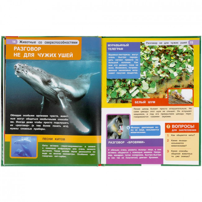 Энциклопедия с развивающими заданиями «Животные со сверхспособностями». Формат: 197 х 255мм 48стр, Умка Энциклопедия с развивающими заданиями «Животные со сверхспособностями». Формат: 197 х 255мм 48стр, Умка