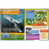 Энциклопедия с развивающими заданиями «Животные со сверхспособностями». Формат: 197 х 255мм 48стр, Умка Энциклопедия с развивающими заданиями «Животные со сверхспособностями». Формат: 197 х 255мм 48стр, Умка