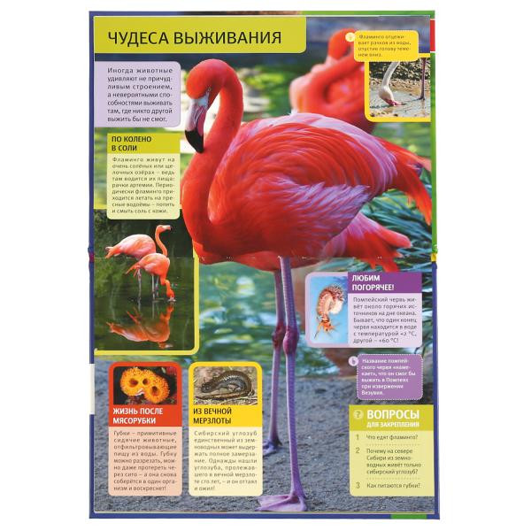 Энциклопедия с развивающими заданиями «Необычные животные». Формат: 197 х 255мм 48стр, Умка