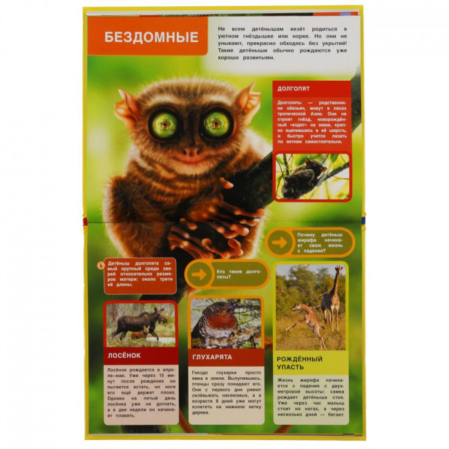 Энциклопедия малыша «Мамы и малыши». Формат: 197х255мм 48стр, Умка