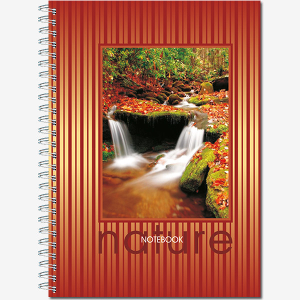 Тетрадь А5 96л клетка "Nature" гребень, Полином/22с28 (10)