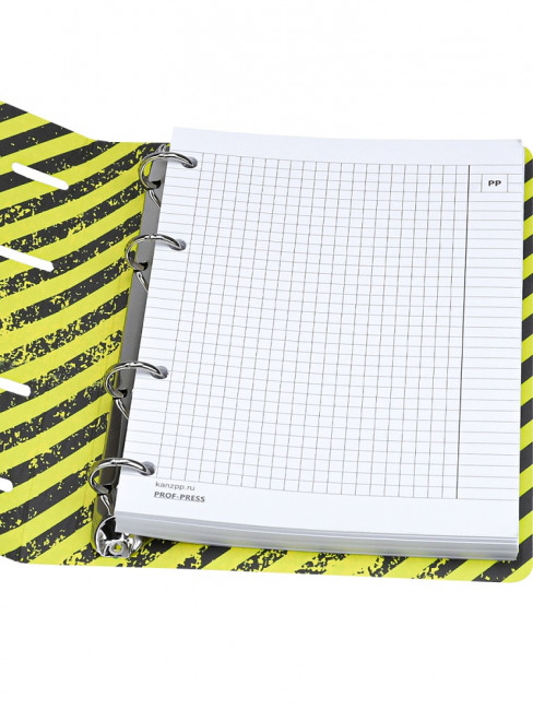 Тетрадь А5+ 120 клетка "Дерзкие надписи", на кольцах, Prof-Press/120-6964
