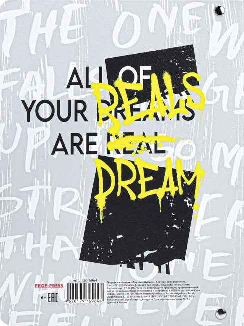 Тетрадь А5+ 120 клетка "Дерзкие надписи", на кольцах, Prof-Press/120-6964