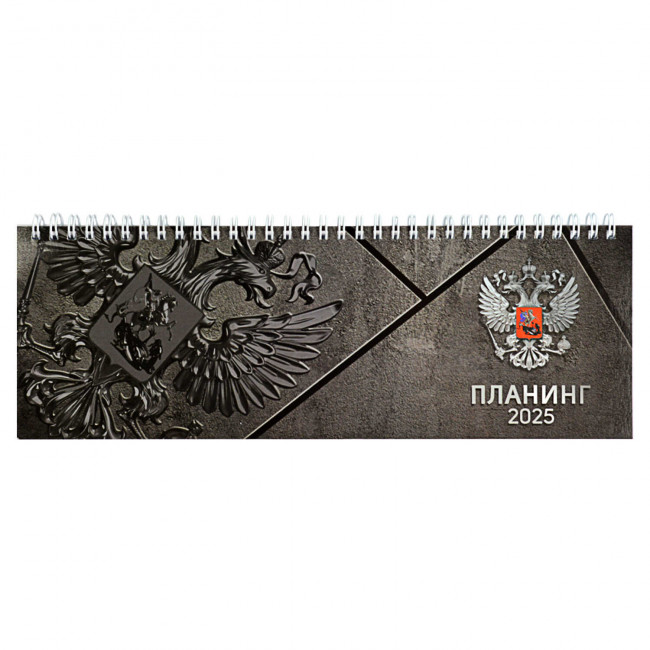 Планинг на 2025г 64л 290*100мм "Серая символика" на гребне, Феникс/68111