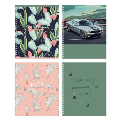 Тетрадь общая А5 гребень 96л. клетка "Life begins" (ассорти) BG