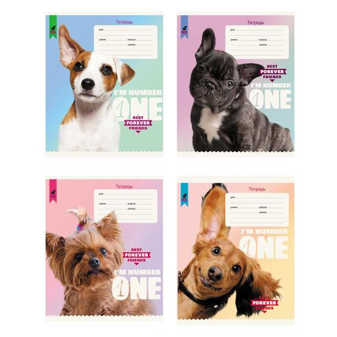 Тетрадь школьная А5 скоба 12л. клетка "Номер один" (ассорти)