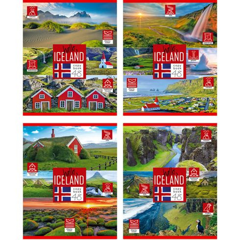 Тетрадь общая А5 скоба 48л. клетка "Hallo, Iceland!" выборочный лак (ассорти) BG (10/80)