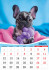 Календарь ригельный 2026г "Кот и пёс. Самый милый друг", РБ-26-027