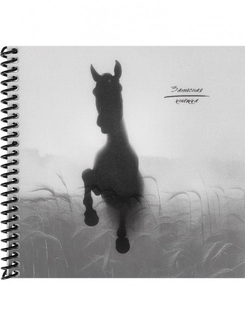 Записная книжка 158х158мм 48л клетка "Конь в тумане", пластиковая обложка, спираль, Проф-Пресс/48-6901 (20)