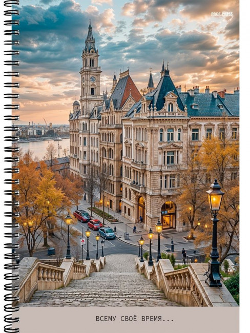 Тетрадь А4 96 клетка "Красивый город-5", на гребне, Проф-Пресс/96-8968 (5/30)