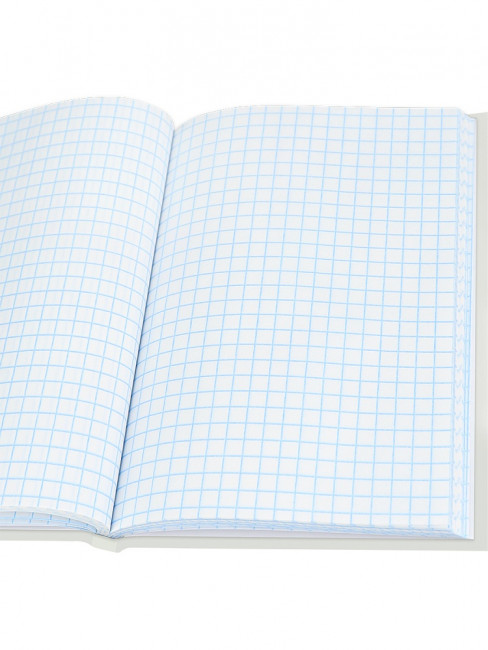 Записная книжка А6 80л клетка "Красивые коты - 2", склейка, Проф-Пресс/ЗК80-0075 (20)