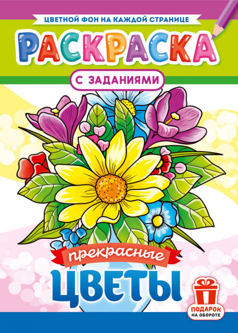 Раскраска (А4) РКСБ-795 (10)