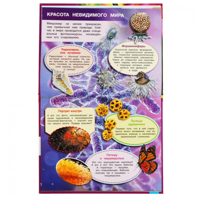 Энциклопедия с развивающими заданиями «Мир под микроскопом». Формат: 197х255мм 48стр, Умка