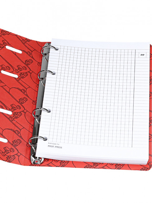 Тетрадь А5+ 120 клетка "Экстремальный спорт - 2 ", на кольцах, Prof-Press/120-6965