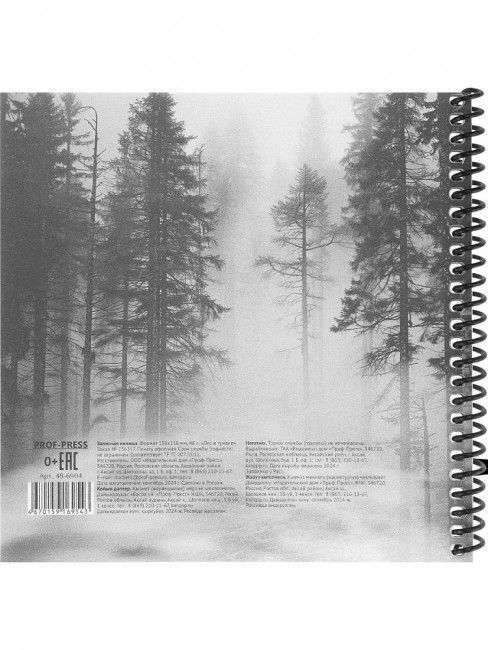 Записная книжка 158х158мм 48л клетка "Лес в тумане", пластиковая обложка, спираль, Проф-Пресс/48-6904 (20)