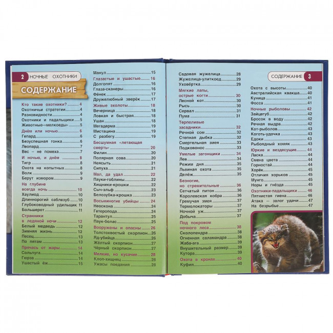 Энциклопедия с развивающими заданиями «Ночные охотники» из серии «100 фактов». Формат: 165 х 215мм 48стр, Умка