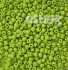 Бисер "ASMAR" размер №6, вес: 450 г, салатовый глянцевый, непрозрачный