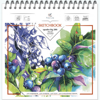 Блокнот-скетчбук 190*190мм 50л "Quadro big 200" для зарисовок, на гребне, Полином/3058 (10)