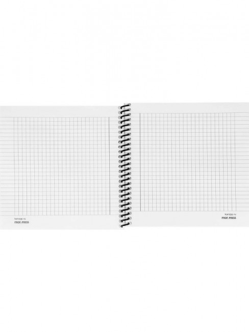 Записная книжка 158х158мм 48л клетка "Озеро в тумане", пластиковая обложка, спираль, Проф-Пресс/48-6903 (20)