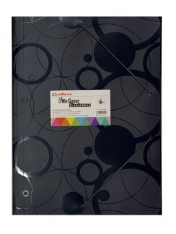 Папка на резинке 335*250, цв. ассорти, Cobest/E6628 (12)