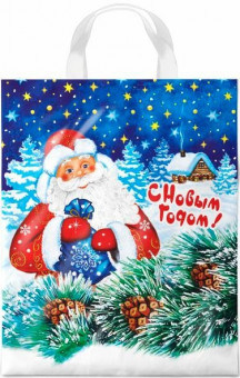 Пакет ПВД НГ петлевой (28*35) 55 мкм "Добрый дед" (25)