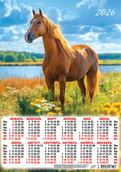 Календарь-плакат А3 2026г "Гордая лошадка", ПМ-26-035