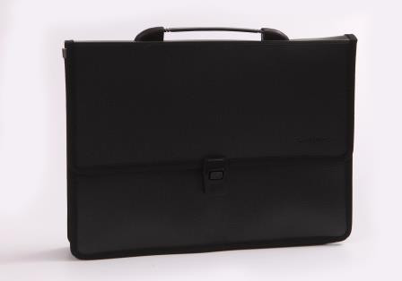 Портфель 2 отдела пластиковый с ручкой, Asmar