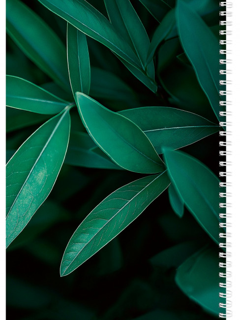 Записная книжка А4 100л клетка "Зелёные листья - 4", 7БЦ, на гребне, Проф-Пресс/100-7209 (10)