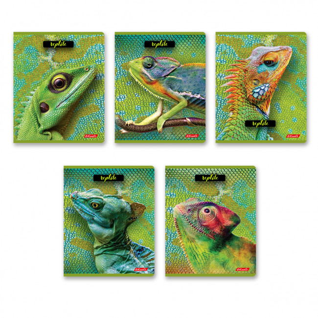 Тетрадь 80 клетка "Рептилии" скрепка, Светоч/80ТСК5_8_2_1 000487 (5/45)