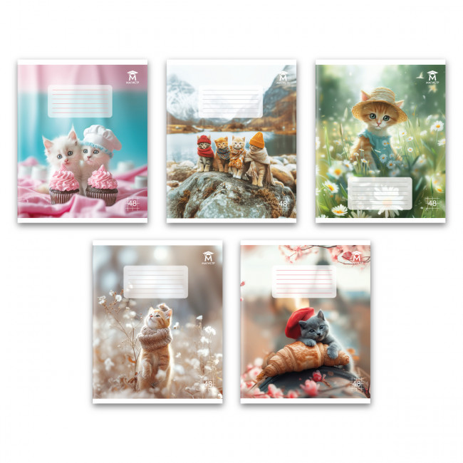 Тетрадь 48 клетка Магистр "Модные котики", белизна 100% (5 дизайнов ассорти) (10/60) Тетрадь 48 клетка Магистр "Модные котики", белизна 100% (5 дизайнов ассорти) (10/60)