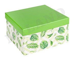Одинарная квадратная коробка  "Джунгли" 15,5*15,5*9 см (зеленая крышка) ПП-3429