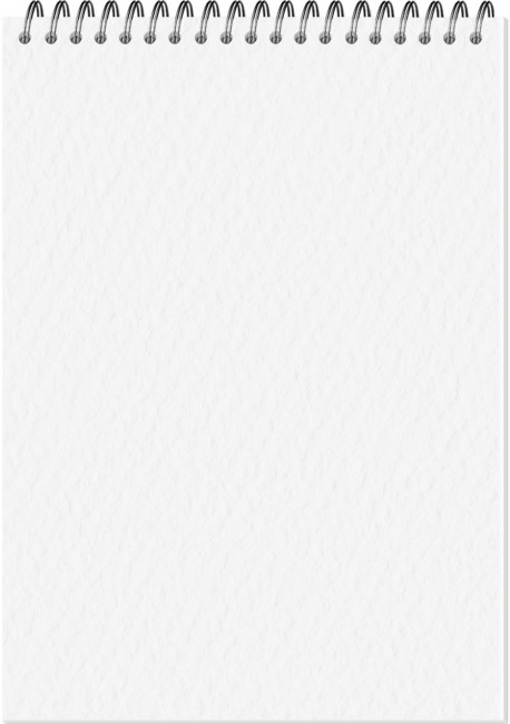 Блокнот-скетчбук А4 12л "Classic format 300" для акварели, целлюлоза 100%, на гребне, Полином/3358 (6)