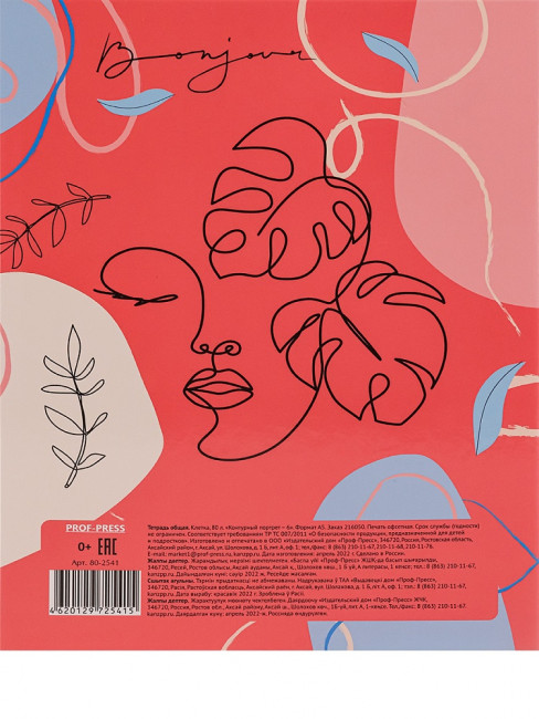 Тетрадь А5+ 80 клетка "Контурный портрет-6", на кольцах, Prof-Press/80-2541