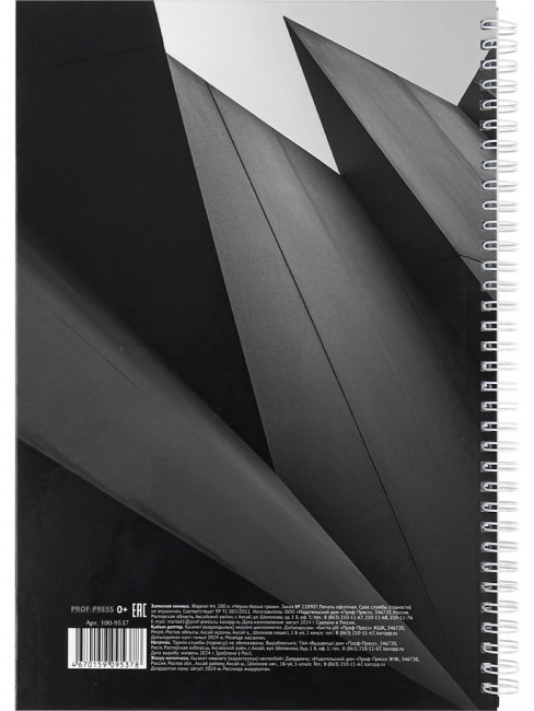 Записная книжка А4 100л клетка "Чёрно-белые грани", 7БЦ, на гребне, Проф-Пресс/100-9537 (10)