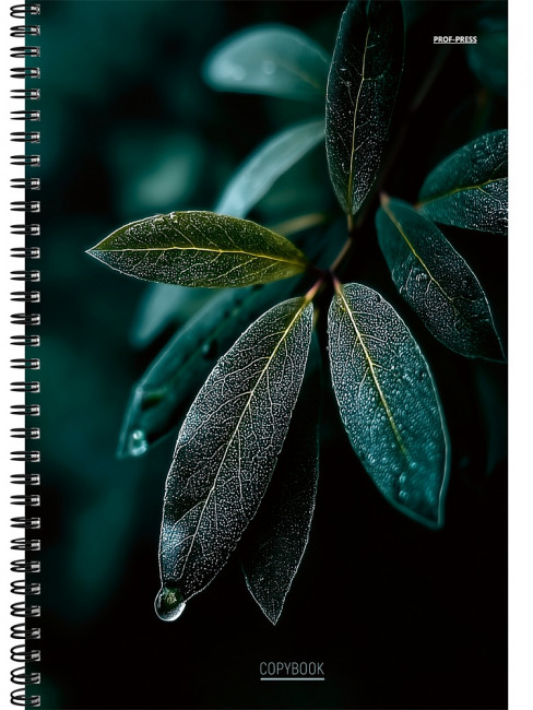 Тетрадь А4 96 клетка "Роса", на гребне, Проф-Пресс/Т96-8334 (5/30)