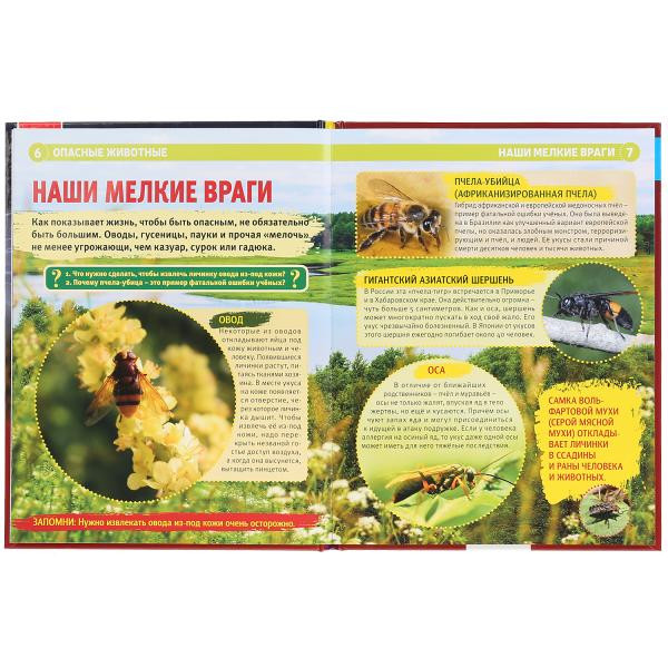 Энциклопедия с развивающими заданиями "Опасные животные". Формат: А4 48стр, Умка