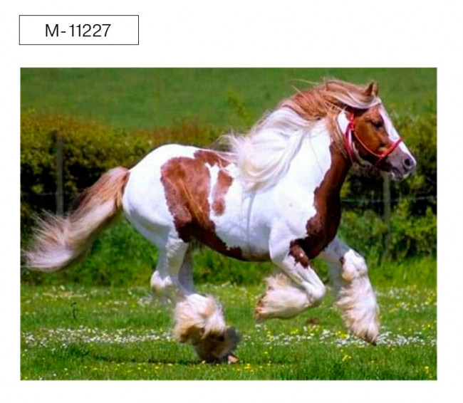 Алмазная мозаика 40х50см "ПОРОДИСТЫЙ КОНЬ" полная выкладка, Mazari