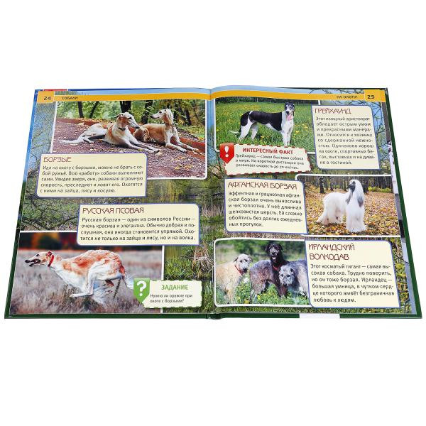 Энциклопедия с развивающими заданиями «Собаки». Формат: А4 48стр, Умка