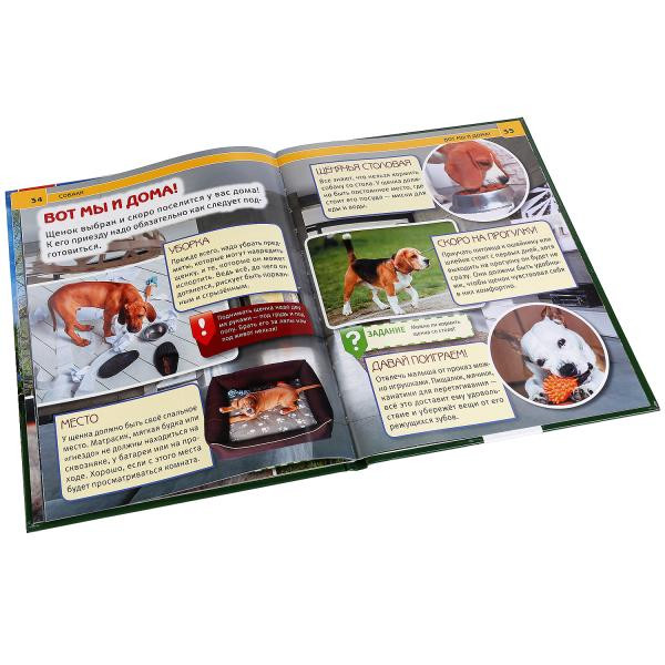 Энциклопедия с развивающими заданиями «Собаки». Формат: А4 48стр, Умка