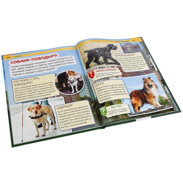 Энциклопедия с развивающими заданиями «Собаки». Формат: А4 48стр, Умка