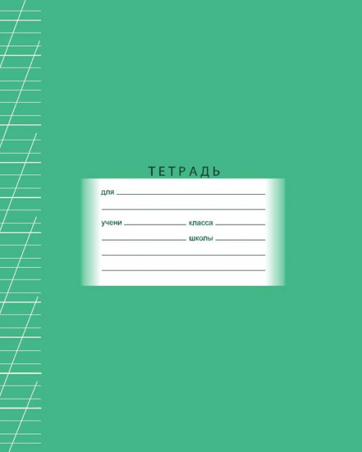 Тетрадь 12л. линия с дополнительной косой BG (20/240)