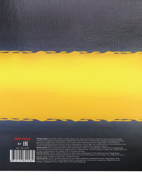 Тетрадь А5+ 80 клетка "Круги на воде", на кольцах, Prof-Press/80-2948