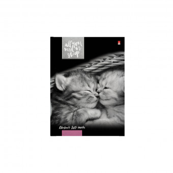 Блокнот-престиж А6 160л клетка "Котята "Мур-Мур", сшивка, BV/3-160-002/41 (16)