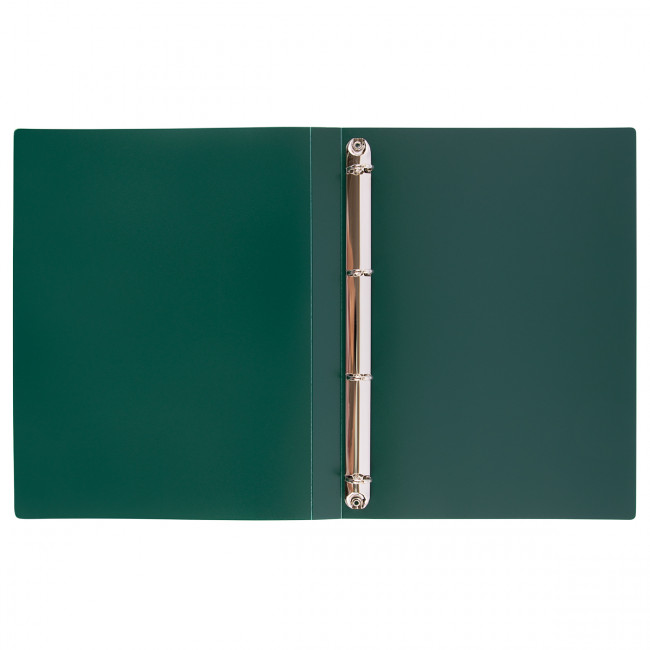 Папка А4 700 мкр 25 мм, на 4 кольцах, песок, изумрудный, Prisma Expert Complete/EC211400010 (4)