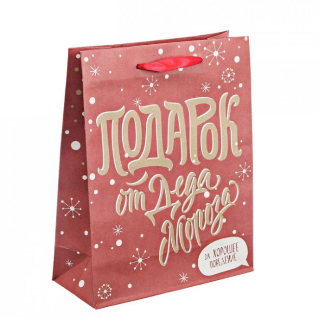 Пакет крафт «Подарок за хорошее поведение» 18х23х8 см