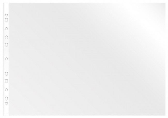 Файл-вкладыш А3 (файлы) 30 мкр. глянц., гориз., Премиум Бюрократ/013AG3 (50)