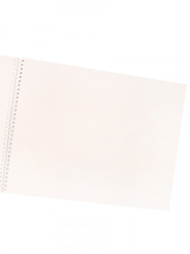 Скетчбук А3 Альбомный Азия мат лам, гребень, жест подложка, 30л, 100г С30-4962 Скетчбук А3 Альбомный Азия мат лам, гребень, жест подложка, 30л, 100г С30-4962