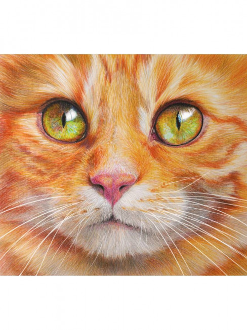 Обложка на паспорт "Рыжий котик" ПВХ, MILAND/ОП-1295