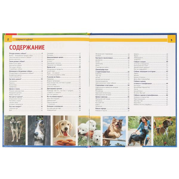 Энциклопедия с развивающими заданиями «Собаки и щенки». Формат: А4 48стр, Умка